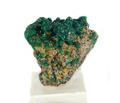 1.61" Beautiful DIOPTASE With Mimetite Ntola Mine, Congo P178