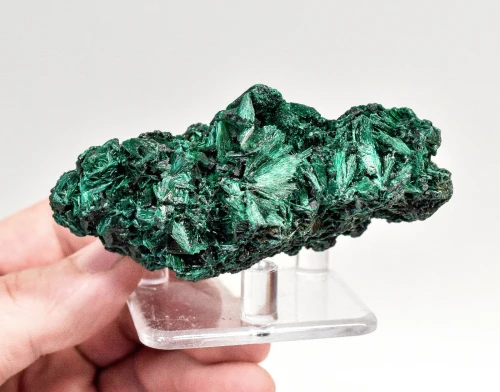 3.30" CHATOYANT FIBROUS MALACHITE Mindingi Mine, Congo Q868