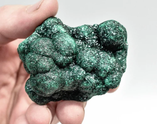 2.36" SPARKLY BOTRYOIDAL MALACHITE Kalukuluku Mine, Congo Q885