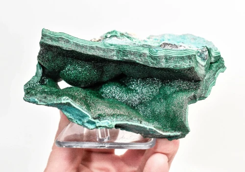 5.07" SPARKLY BOTRYOIDAL MALACHITE Vug Kalukuluku Mine, Congo Q876