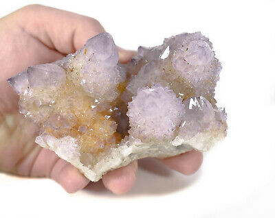 3.97" Druzy AMETHYST Cactus Spirit QUARTZ - South Africa Q327