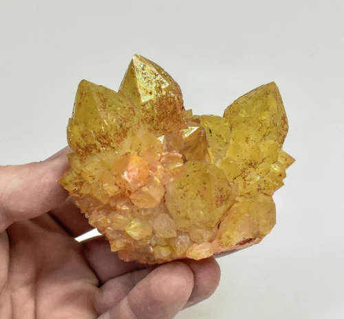 3.26" Iridescent SUNSHINE Cactus Spirit QUARTZ Crystal Cluster South Africa Q893