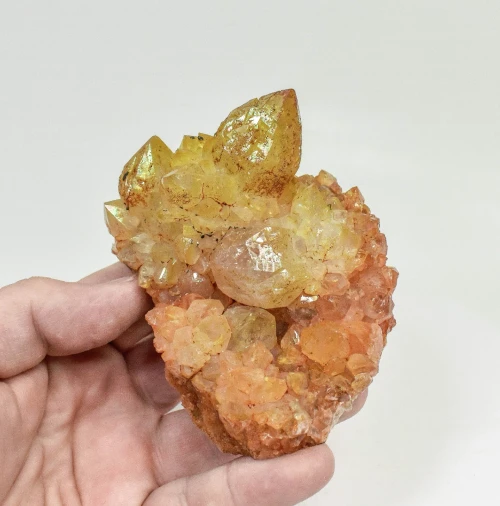 3.59" Iridescent SUNSHINE Cactus Spirit QUARTZ Crystal Cluster South Africa Q892