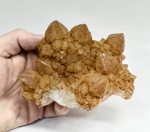 4.29" Iridescent SUNSHINE Cactus Spirit QUARTZ Crystal Cluster South Africa Q894