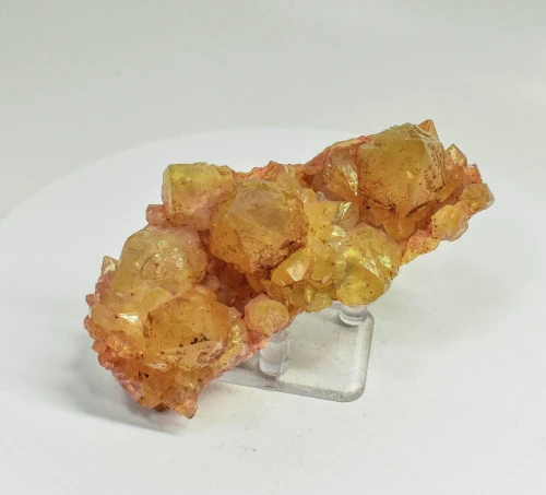 4.29" Iridescent SUNSHINE Cactus Spirit QUARTZ Crystal Cluster South Africa Q890