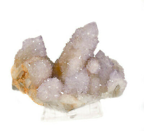 3.74" Druzy AMETHYST Cactus Spirit QUARTZ - South Africa Q326