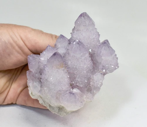 3.26" AMETHYST Cactus Spirit QUARTZ Crystal Cluster South Africa Q904