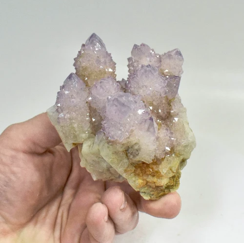 3.85" AMETHYST Cactus Spirit QUARTZ Crystal Cluster South Africa Q899