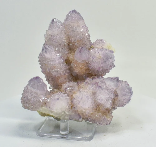 3.66" AMETHYST Cactus Spirit QUARTZ Crystal Cluster South Africa Q900