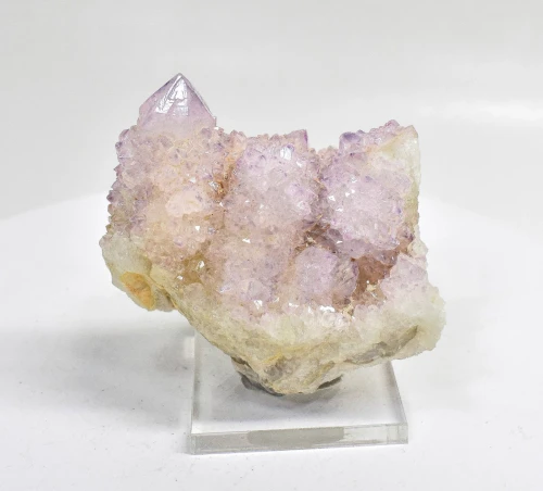 3.22" AMETHYST Cactus Spirit QUARTZ Crystal Cluster South Africa Q911