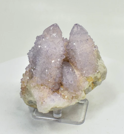 2.79" AMETHYST Cactus Spirit QUARTZ Crystal Cluster South Africa Q915