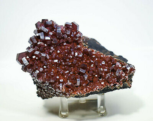4.37" Dark RED VANADINITE CRYSTALS On Matrix Mibladen, Morocco P118