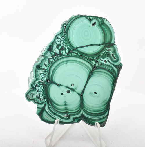 3.26" POLISHED MALACHITE Stalactite Slice / Slab With Stand - Congo T110