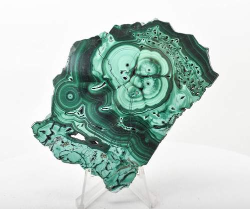 3.97" POLISHED MALACHITE Stalactite Slice / Slab With Stand - Congo T117