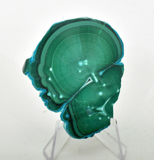 2.51" Polished Chatoyant MALACHITE CHRYSOCOLLA CORNETITE Slice / Slab Congo A743