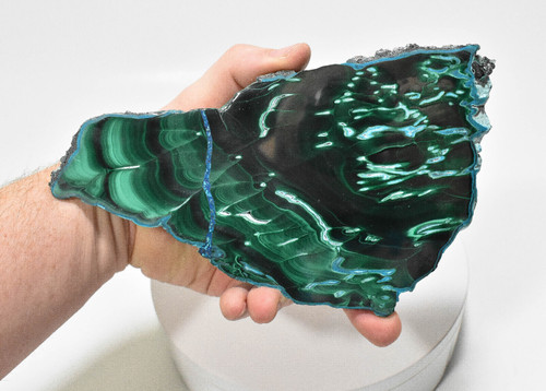 7.87" Polished MALACHITE CHRYSOCOLLA CORNETITE Slice / Slab Congo A804