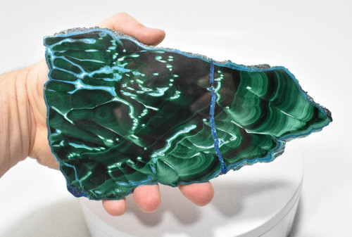 7.48" Polished MALACHITE CHRYSOCOLLA CORNETITE Slice / Slab Congo A805