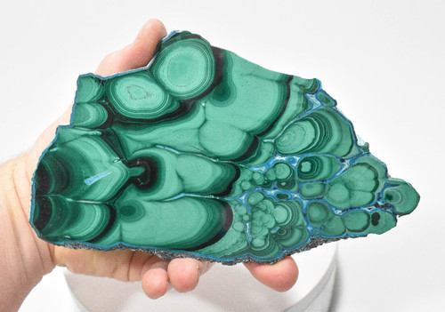 7.08" Polished MALACHITE CHRYSOCOLLA CORNETITE Slice / Slab Congo A799