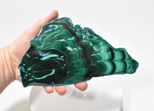 7.71" Polished MALACHITE CHRYSOCOLLA CORNETITE Slice / Slab Congo A797