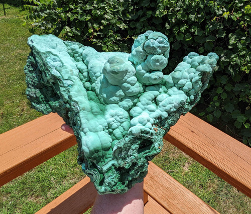 12" Outstanding MALACHITE and CHRYSOCOLLA Kalukuluku Mine, Congo Q491