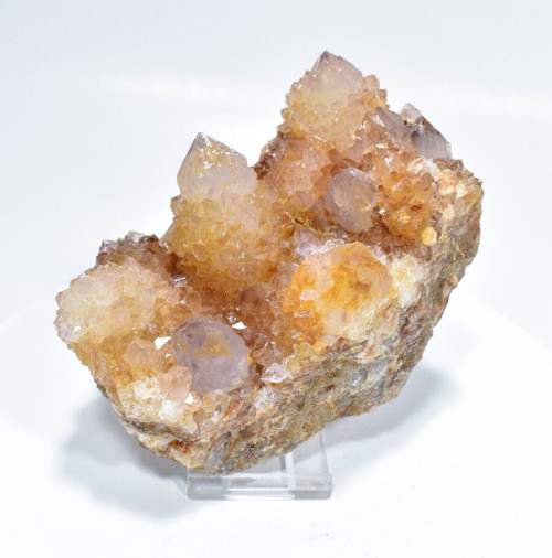 4.52" AMETHYST SUNSHINE Cactus Spirit QUARTZ "Video" - South Africa Q576