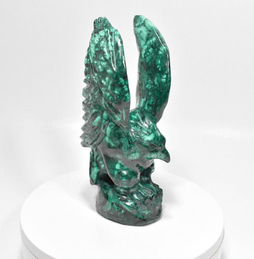 7.95" POLISHED MALACHITE EAGLE Animal Carving - Congo mc802