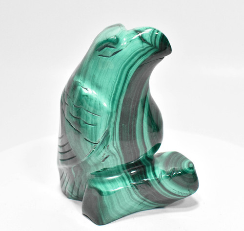 3.66" POLISHED MALACHITE EAGLE Animal Carving - Congo mc801