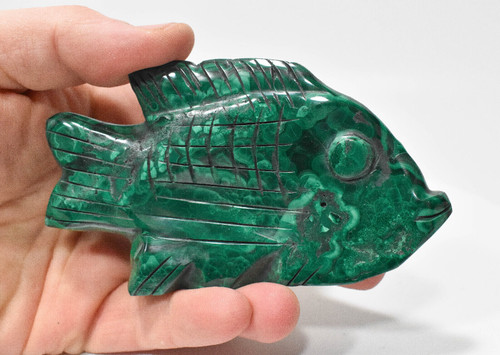4.44" Beautiful POLISHED MALACHITE FISH Animal Carving - Congo mc772
