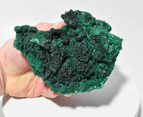5.27" Shimmering Chatoyant Fibrous MALACHITE Mindingi Mine, Congo Q548