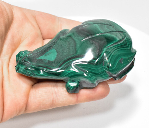 3.50" Beautiful POLISHED MALACHITE FROG Animal Carving "Video" Congo mc878