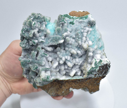 4.40" CHRYSOCOLLA Pseudomorph With MALACHITE And QUARTZ. Congo Q577