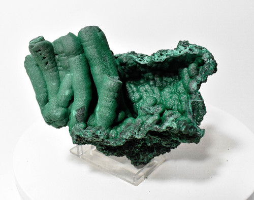 5.07" SPARKLY MALACHITE STALACTITE Cluster Geode - Mindingi Mine, Congo Q608