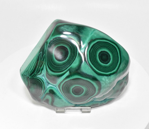 5" Polished BULLSEYE MALACHITE - Congo A917
