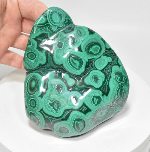 5.31" Polished MALACHITE AND CHRYSOCOLLA - Congo A910