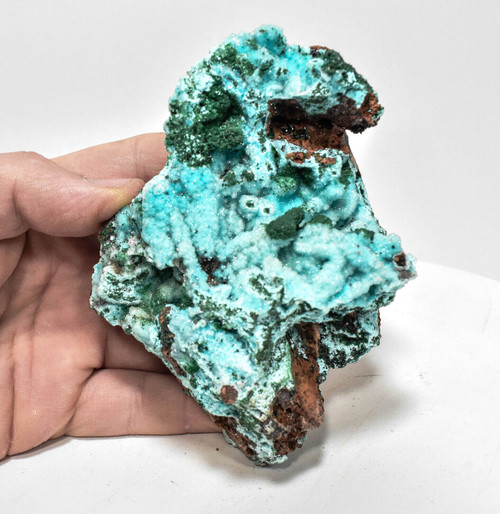 4.40"CHRYSOCOLLA PS With MALACHITE QUARTZ Druzy Tenke Fungurume Congo Q594