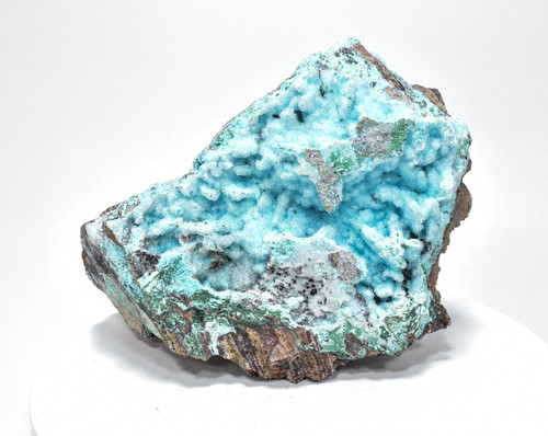 7.12" CHRYSOCOLLA Ps With MALACHITE QUARTZ Druzy Tenke Fungurume Congo Q601