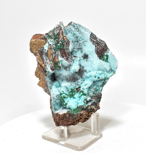 3.85"CHRYSOCOLLA MALACHITE QUARTZ Druzy Tenke Fungurume Congo Q595
