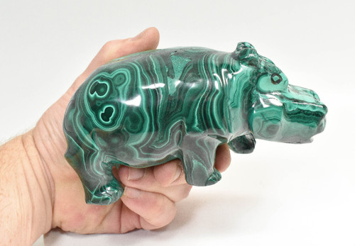 5.86" POLISHED MALACHITE HIPPO Animal Carving Congo CM41