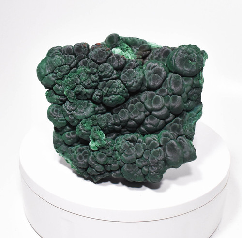 6.18" Shimmering Chatoyant Fibrous MALACHITE Sepon Mine, Laos Q657