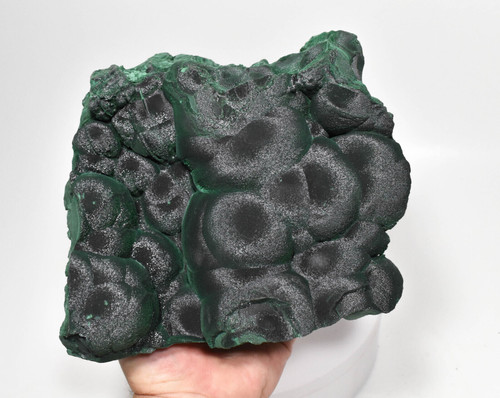 7.67" Shimmering Chatoyant Fibrous MALACHITE Mindingi Mine, Congo Q659