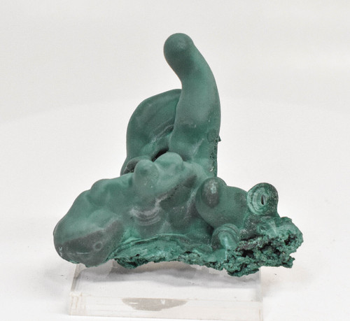 2.59" MALACHITE STALACTITE Cluster - Mindingi Mine, Congo Q716