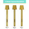 3/32" 4-Week Tapered Backfill Gold Carbide Bit (F - C)