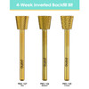 3/32" 4-Week Inverted Backfill Gold Carbide Bit (F - C)