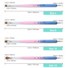 IvyL 2-Way Kolinsky Brush & Dotting Tool with Pink and Blue Ombre Wooden Handle