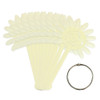 12 Tip Flower Shaped Fan Palette w/ Ring Holder