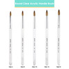 Round Clear Acrylic Kolinsky Brush Handle with Silver Ferrule
