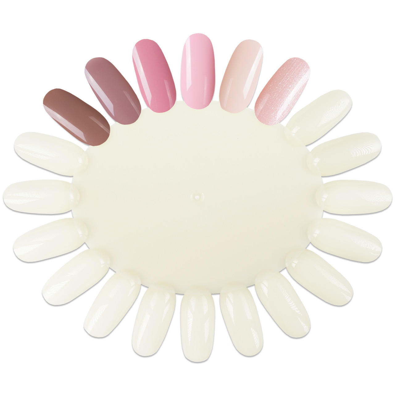 20 Tip Wheel Shape Palette (10ct)