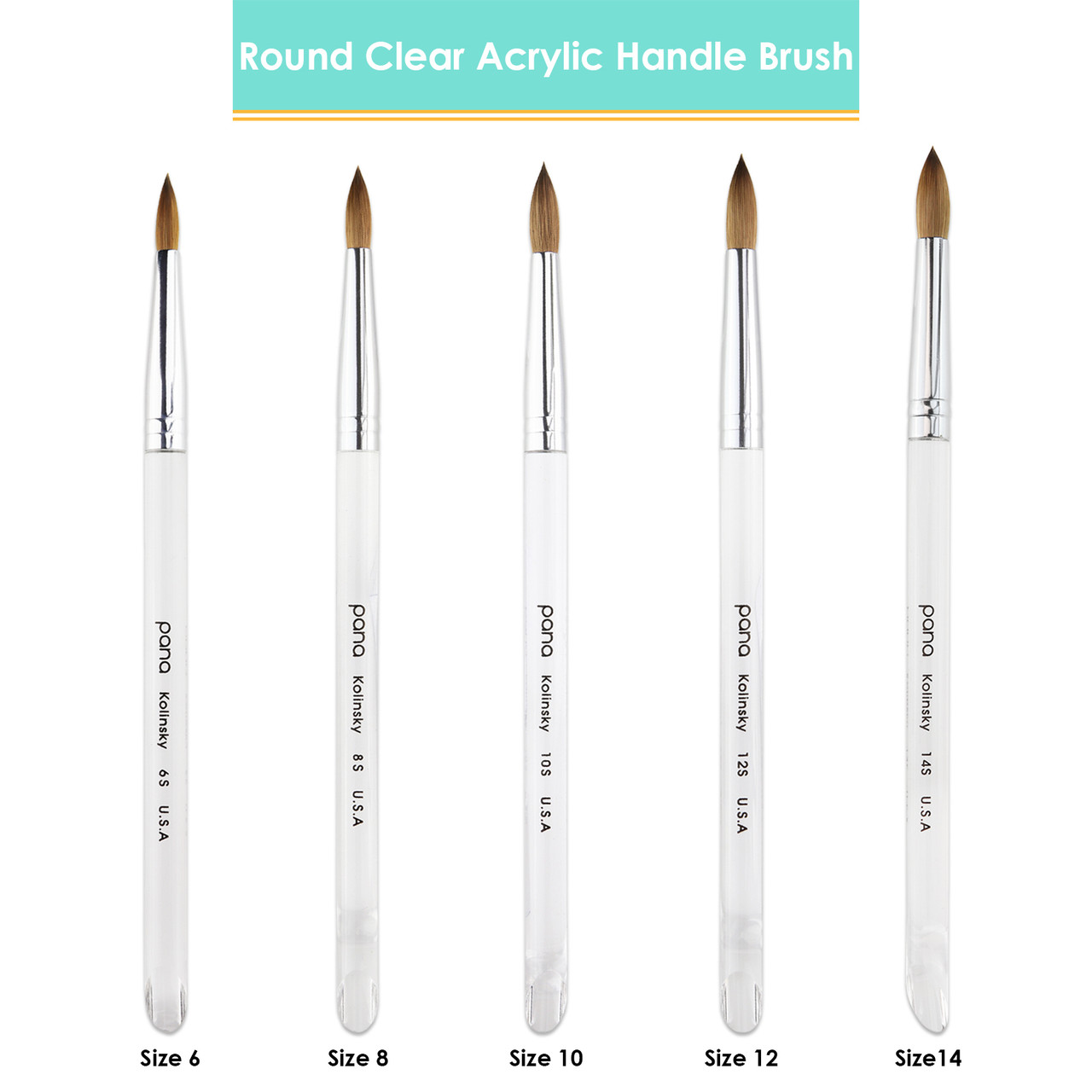 Round Clear Acrylic Kolinsky Brush Handle with Silver Ferrule
