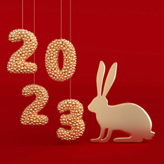 2023: Year of The Rabbit