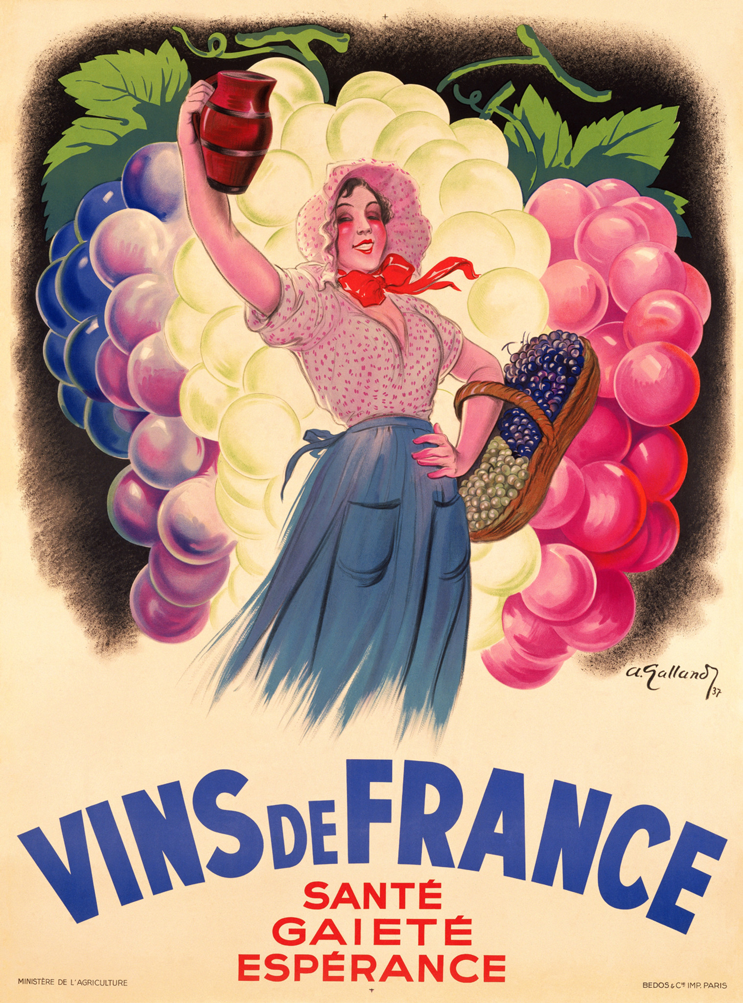 Poster plastifié - Les vins de France (98 x 119 cm)  IGN – La Compagnie  des Cartes - Le voyage et la randonnée